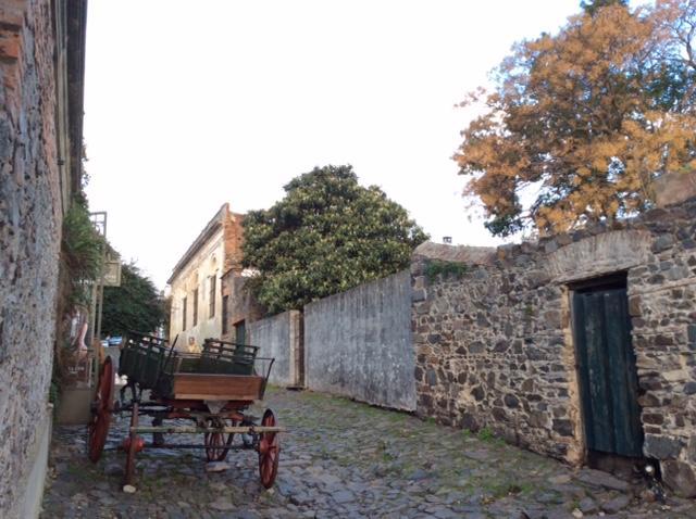 El Patio De Las Glicinas Colonia del Sacramento Eksteriør bilde